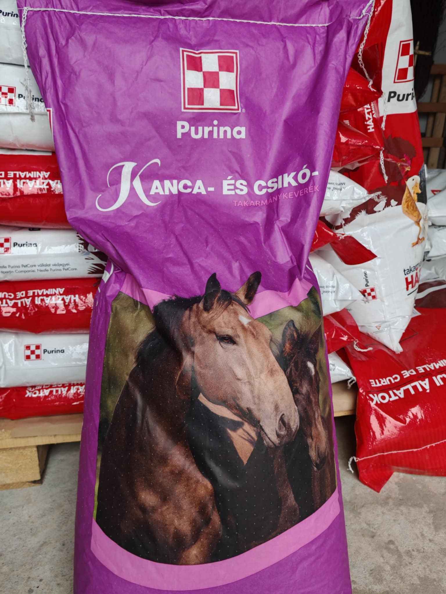 Purina Kanca és csikótáp